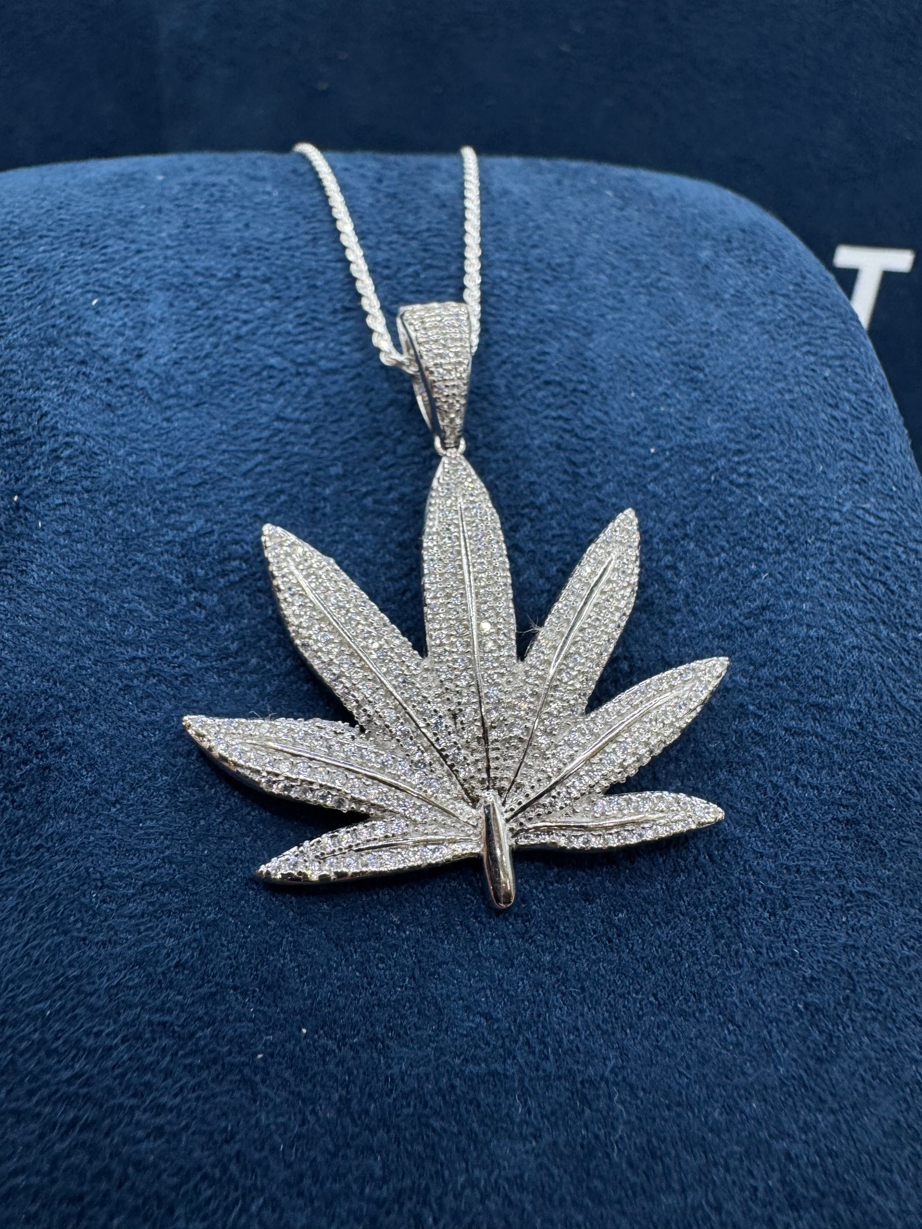 I said Marijuana Plant