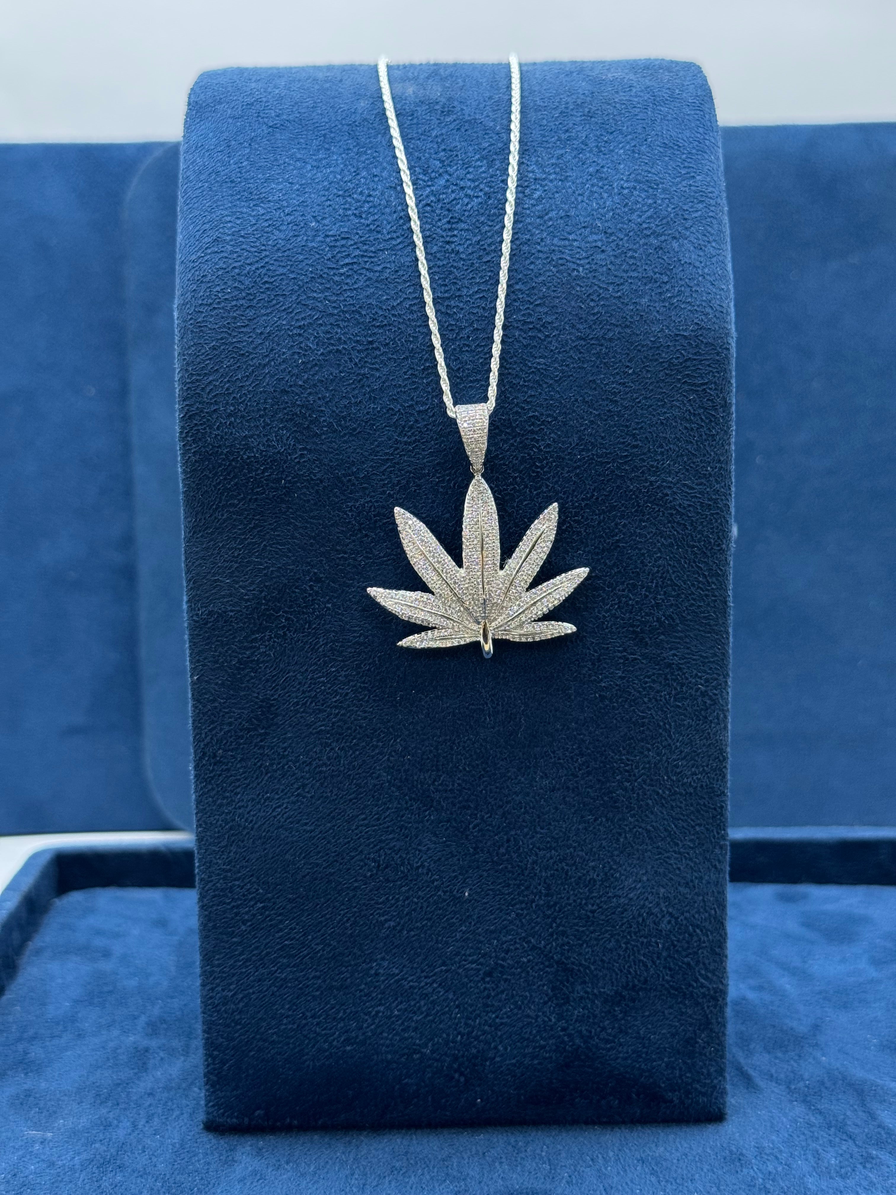 I said Marijuana Plant